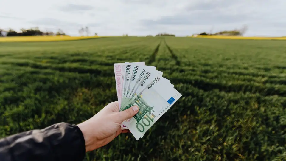 Mão segurando notas de dinheiro em campo verde