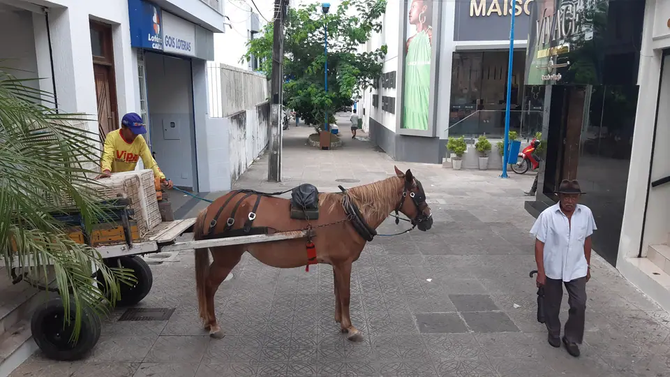 Rua do centro comercial de Itabaiana, em Sergipe